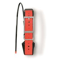 Garmin TT 15X Dog Tracking and Training Collar