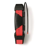 Garmin TT 15X Dog Tracking and Training Collar