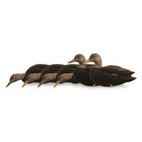 Avian-X AXF Black Duck Fusion Pack Flocked Decoys, 6 Pack