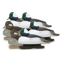 Avery GHG Hunter Series Oversized Bufflehead Decoys, 6 Pack