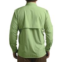 Back view