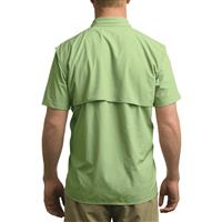 Back view