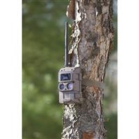 Cuddeback® CuddeLink L IR Remote Trail/Game Camera