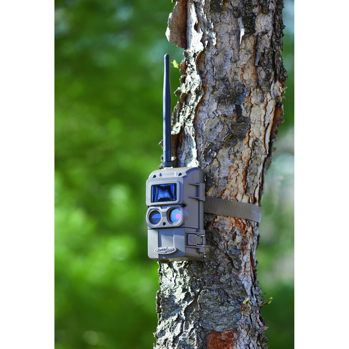 Cuddeback CuddeLink L IR Remote Trail/Game Camera, 3 Pack