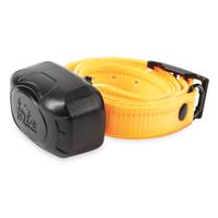 DT Systems DD700 Add-on Collar