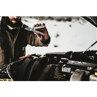 Emergency roadside assistant