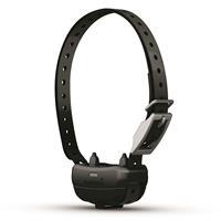 Delta SE Dog Collar
