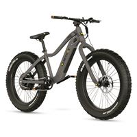 QuietKat 500W Pioneer E-Bike