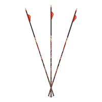 Carbon Express D-Stroyer MX Hunter Fletched Arrows, 6 Pack