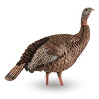 Upright head