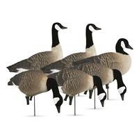 Higdon Apex Full-size Full-Body Canada Goose Decoys, 6 Pieces