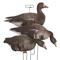 Higdon Flat Specklebelly Goose Motion Silhouette Decoys, 12 Pack ...