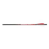 Barnett Headhunter 20" Crossbow Bolts, 303 Grain, 5 Pack
