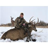 Montana Decoy Trixie Whitetail Doe Decoy