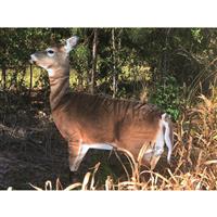 Montana Decoy Teaser Tail