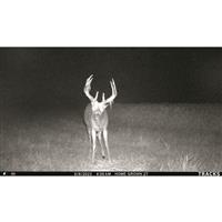 Cuddeback Tracks LTE Trail/Game Camera