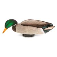 Avian-X Power Shaker Mallard Drake Feeder