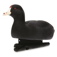 Avian-X TopFlight Coot Decoy, 6 Pack