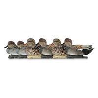 Avian-X TopFlight Gadwall Duck Decoys, 6 Pack