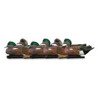 Avian-X TopFlight Wigeon Duck Decoys, 6 Pack