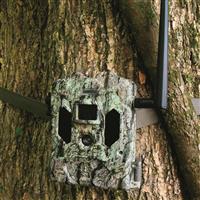 Bushnell CelluCORE Live Cellular Trail/Game Camera, 32MP