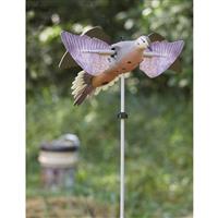  バード　 Dove コラム】ギブソン・ハミングバードとダヴの違いについて（知って