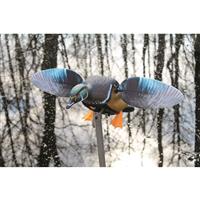 MOJO Elite Series Woody Duck Spinning Wing Decoy.