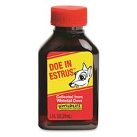 Wildlife Research Center Doe In Estrus Scent, 1 oz. Bottle