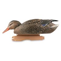 Avery GHG Pro-Grade Mallard Surface Feeder Decoy Set, 2 Piece