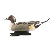 Avery GHG Hunter Series Life Size All Drake Pintail Duck Decoys, 6 Pack