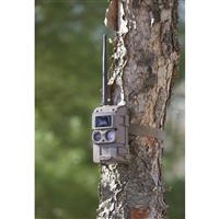 Cuddeback Cuddelink L Black Flash Trail/Game Camera, 3 Pack