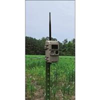 Cuddeback Cuddelink Trail Camera, Strobe