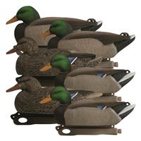 Hardcore Rugged Series Standard Mallard Decoys, 6 Pack