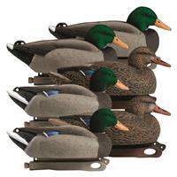 Hardcore Rugged Series Standard Mallard Floater Decoys with Flocked Heads, 6 Pack
