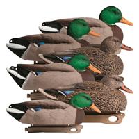 Hardcore Rugged Series Mallard Magnum Duck Decoys, 6 Pack