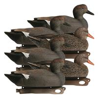 Hardcore Rugged Series Gadwall Duck Decoys, 6 Pack