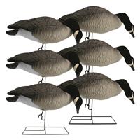 Hardcore Rugged Series Full Body Canada Goose Feeder Decoys with Flocked Heads, 6 Pack
