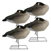 Hardcore Rugged Series Full Body Canada Goose Sleeper Decoys with Flocked Heads, 4 Pack