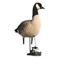 Decoy not included