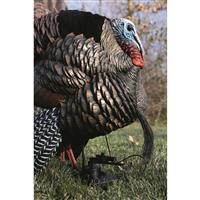 Attaches to your decoy's stake to add motion