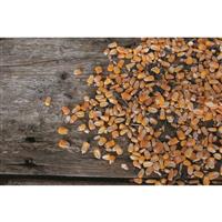 Big Tine Fortified Deer Blend, Pear