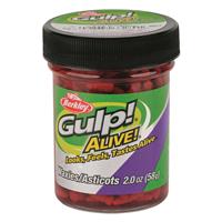 Berkley Gulp! Alive! Waxies | Sportsman's Guide