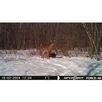SPYPOINT FORCE-48 Trail Camera