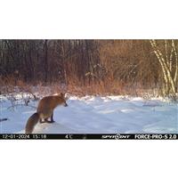 SPYPOINT FORCE-PRO-S 2.0 Trail Camera