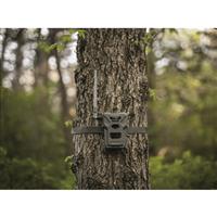 SPYPOINT FLEX-M Cellular Trail Camera, 2 Pack