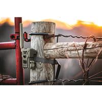 SPYPOINT FLEX-M Cellular Trail Camera, 2 Pack