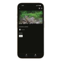 SPYPOINT FLEX-M Cellular Trail Camera, 2 Pack