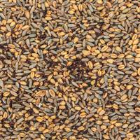 Evolved Harvest Hail Mary Food Plot Seed, 20 lb.