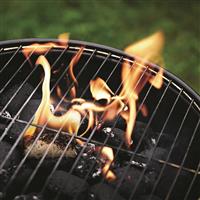 GoFire All Natural Fire Starters, 60 Count