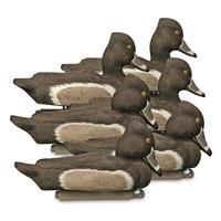 Higdon Battleship Ringneck Drakes Duck Decoys, 6 Pieces
